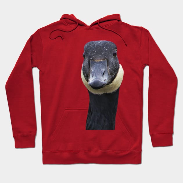 Canadian Goose Funny Portrait Hoodie by KathyG'sArt